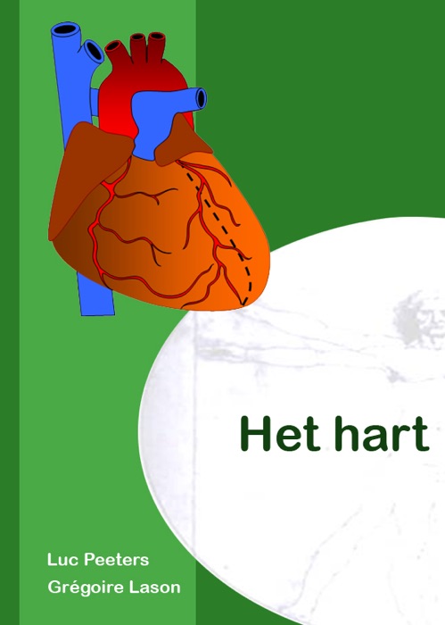 Het hart