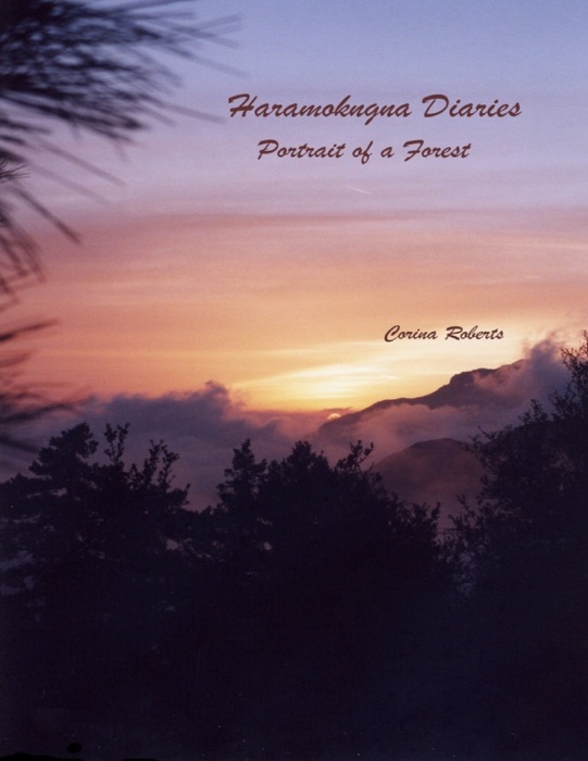 Haramokngna Diaries