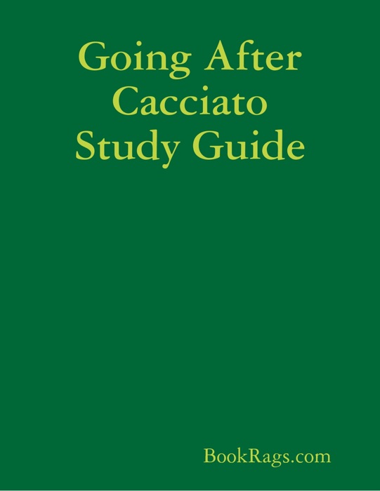 Going After Cacciato Study Guide