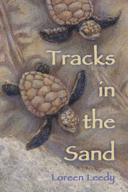 Tracks in the Sand