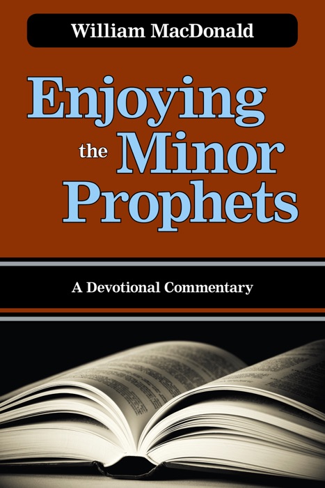 Enjoying the Minor Prophets