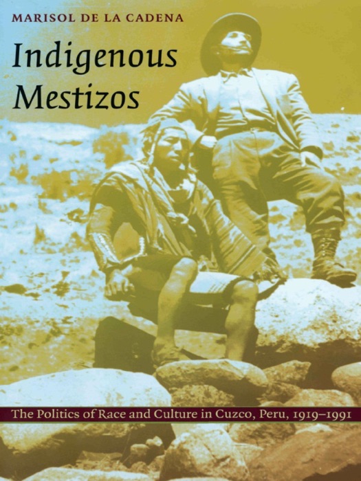 Indigenous Mestizos