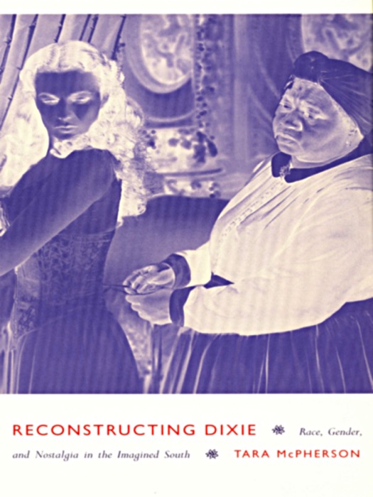 Reconstructing Dixie