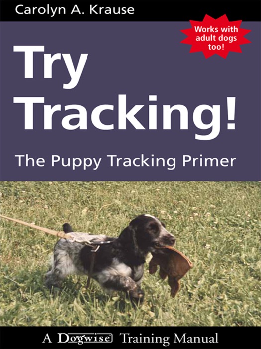 Try Tracking!