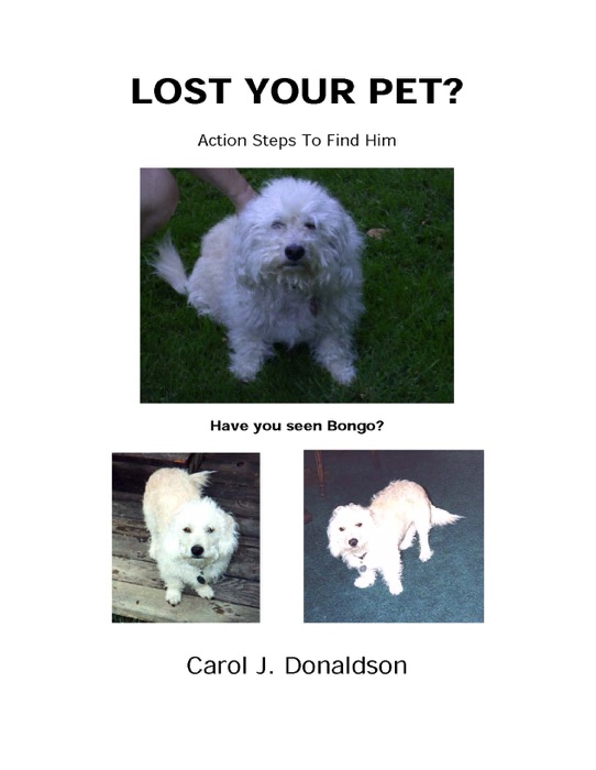 Lost Your Pet?