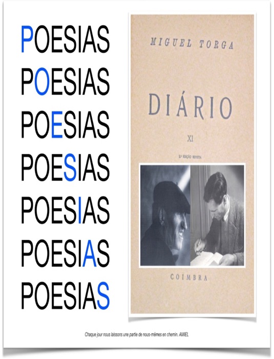 Poesias Diário XI