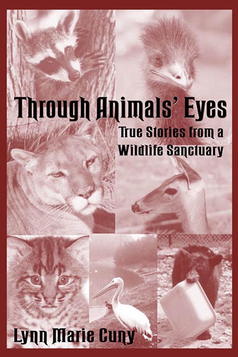 Through Animals’ Eyes