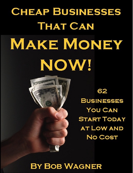 Cheap Businesses That Can Make Money Now!