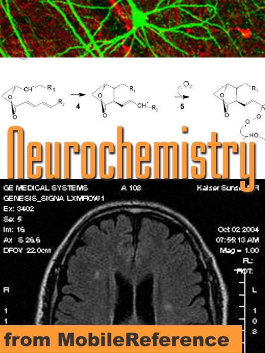 Neurochemistry Study Guide