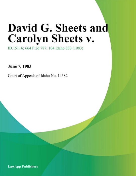 David G. Sheets and Carolyn Sheets v.