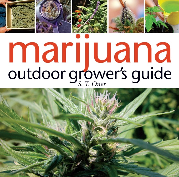 Marijuana Outdoor Grower's Guide