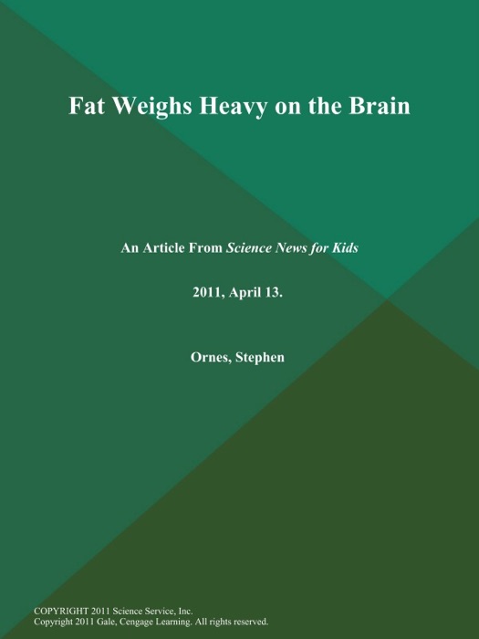 Fat Weighs Heavy on the Brain