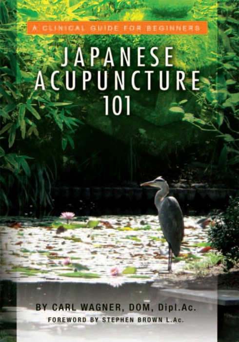 Japanese Acupuncture 101