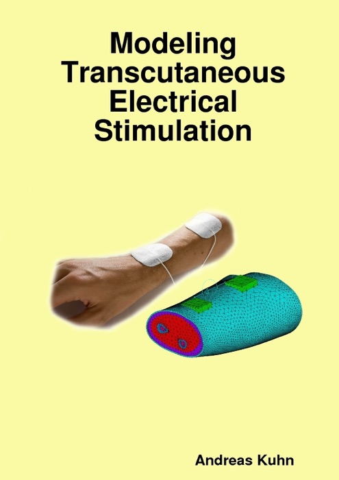 Modeling Transcutaneous Electrical Stimulation