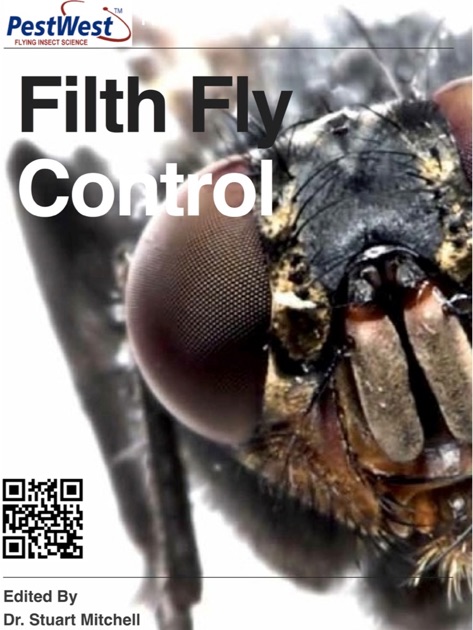 fly-meaning-in-hindi-fly-ka-kya-matlab-hota-hai-daily-use-english