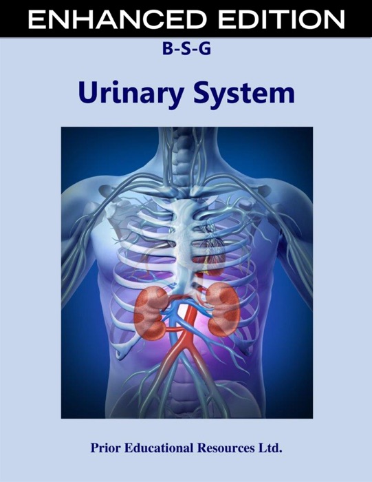 Urinary System