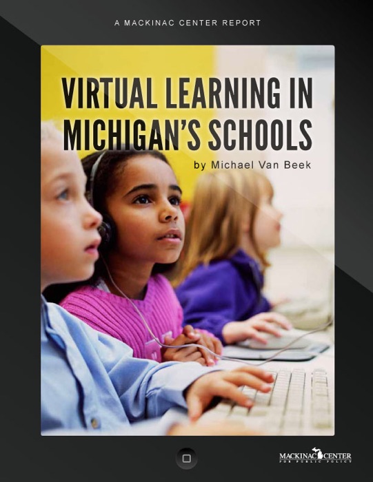 Virtual Learning in Michigan's Schools