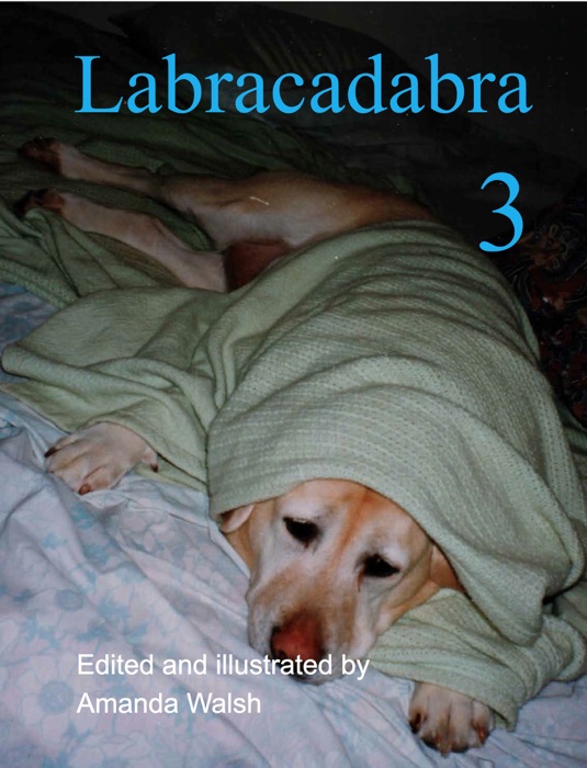 Labracadabra 3