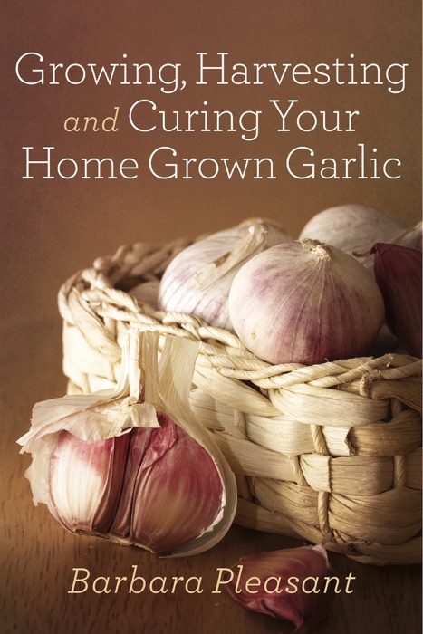 Growing, Harvesting and Curing Your Home Grown Garlic