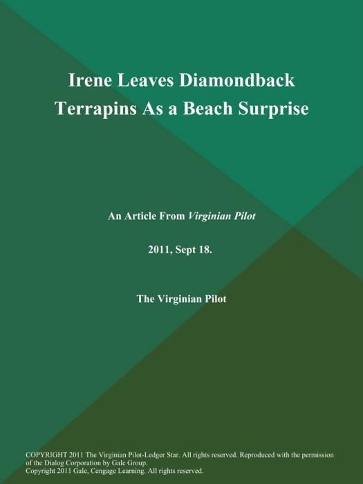 Irene Leaves Diamondback Terrapins As a Beach Surprise