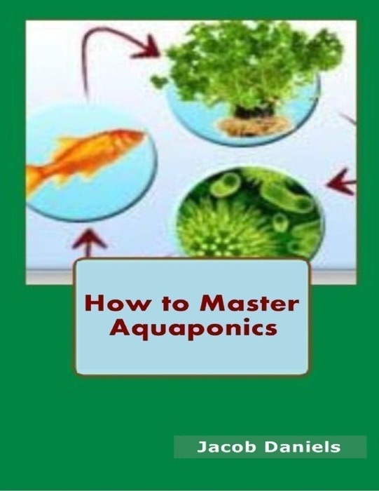 How to Master Aquaponics