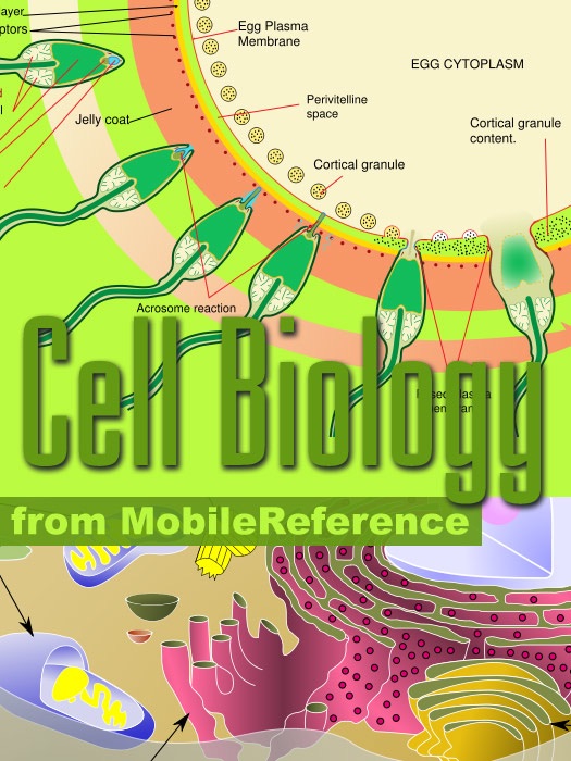 Cell Biology Study Guide