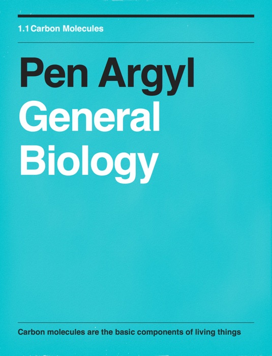 Pen Argyl