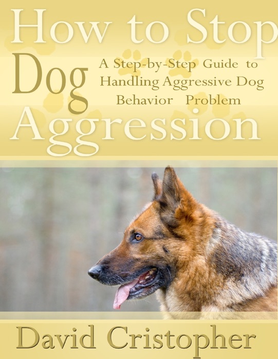 How to Stop Dog Aggression