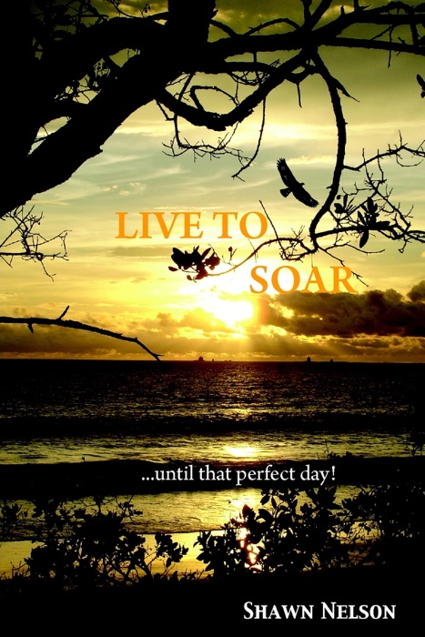 Live to Soar