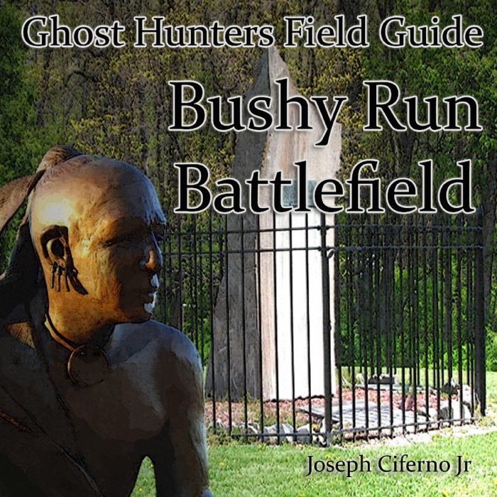 Ghost Hunters Field Guide