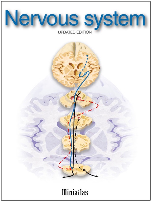 Nervous System Miniatlas - Updated Edition