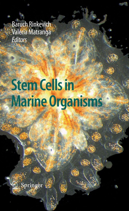 Stem Cells in Marine Organisms