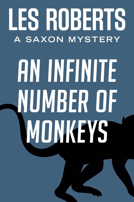 An Infinite Number of Monkeys