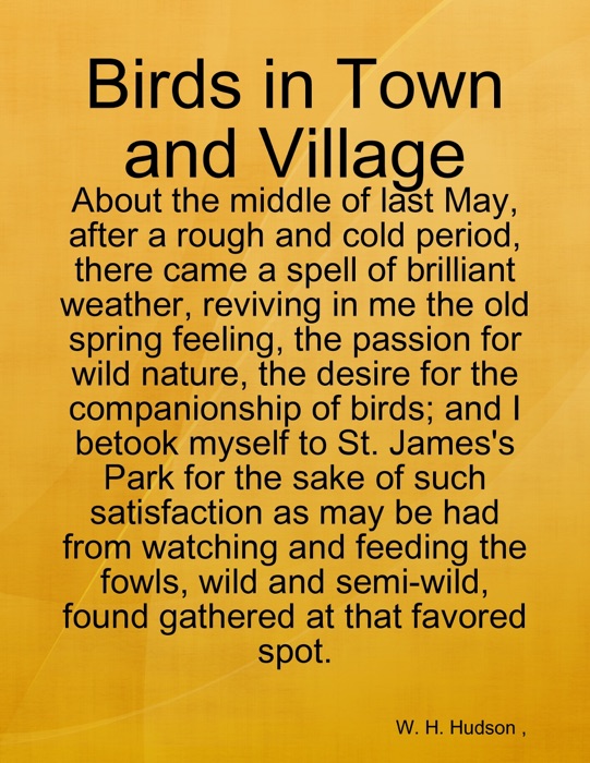 Birds In Town and Village