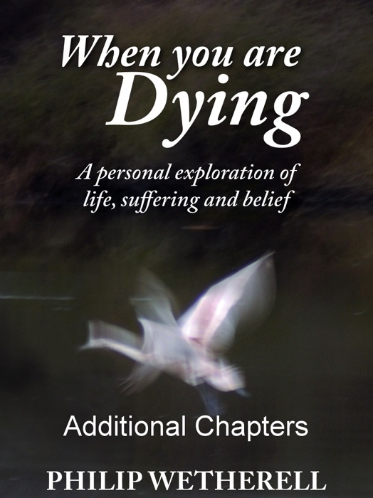 WHEN YOU ARE DYING: A Personal Exploration of Life, Suffering and Belief, ADDITIONAL CHAPTERS