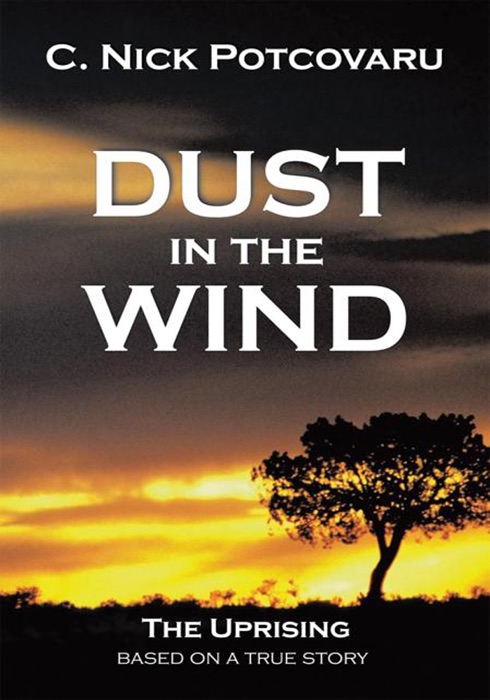 Dust in the Wind