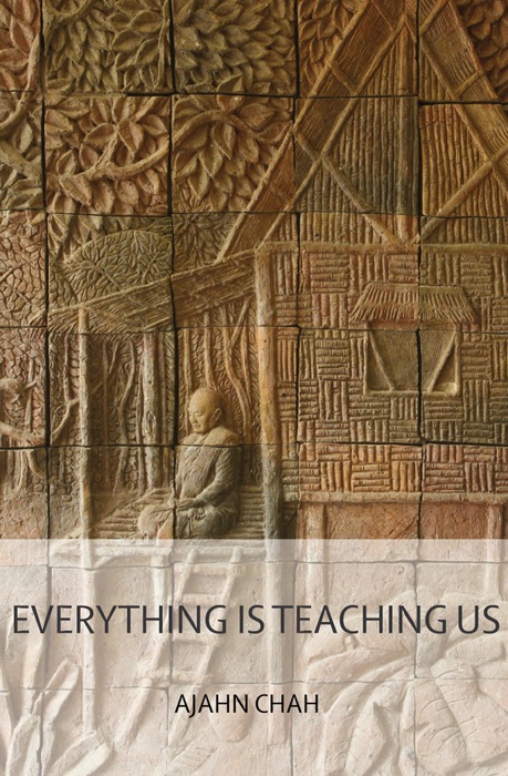 Everything Is Teaching Us