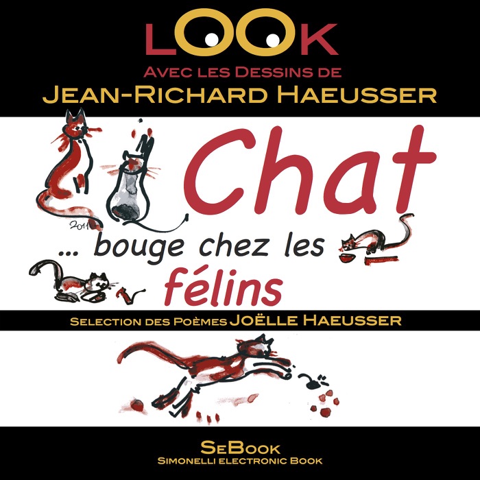 Chat …bouge chez les félins