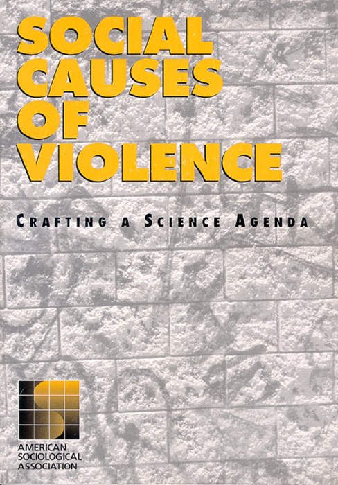 Social Causes of Violence