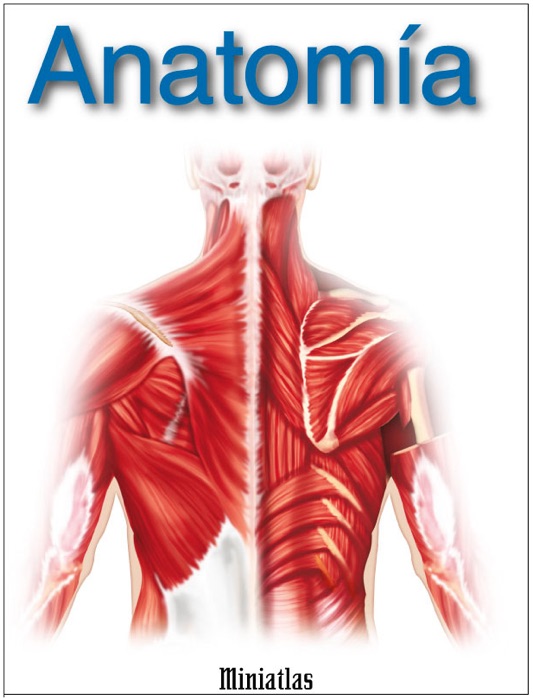 Miniatlas Anatomía