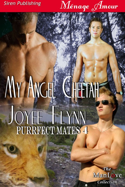 My Angel Cheetah