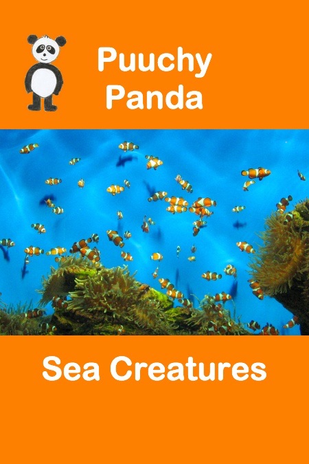 Puuchy Panda Sea Creatures