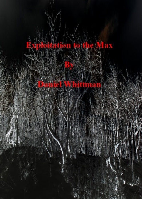 Exploitation to the Max