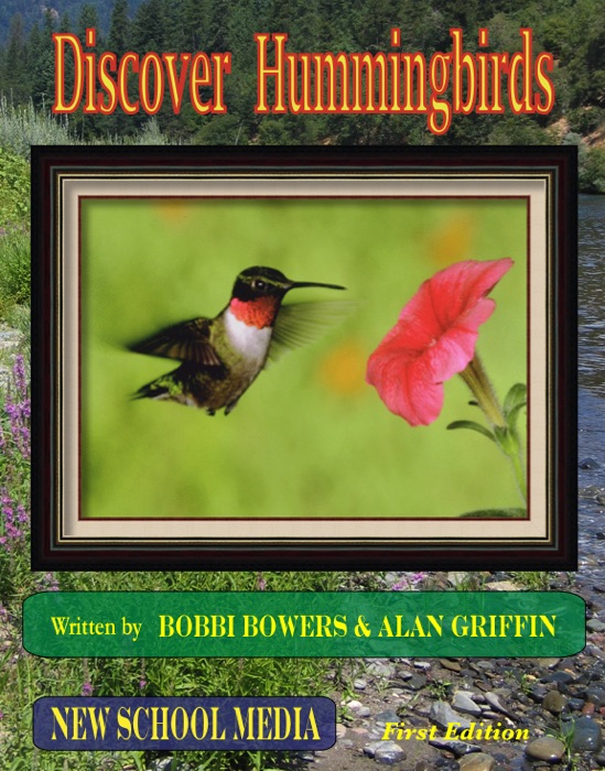 Discover Hummingbirds