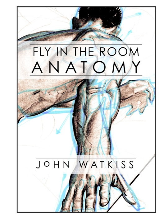 Fly In the Room Anatomy