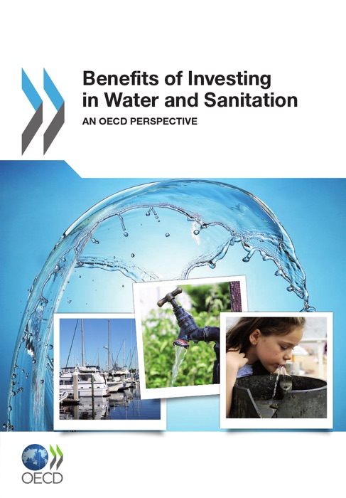 Benefits of Investing in Water and Sanitation