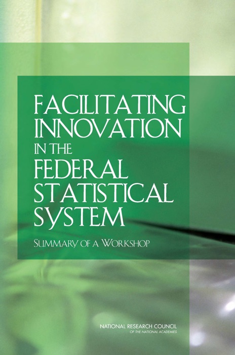 Facilitating Innovation in the Federal Statistical System