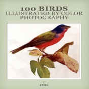 100 Birds Illustrated By Color Photography