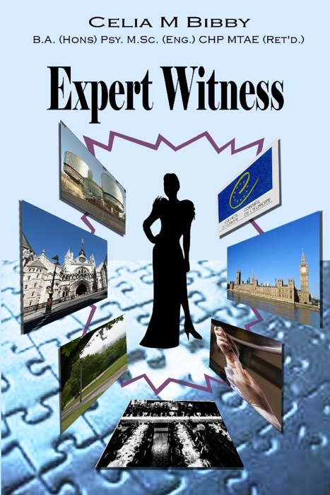 Expert Witness