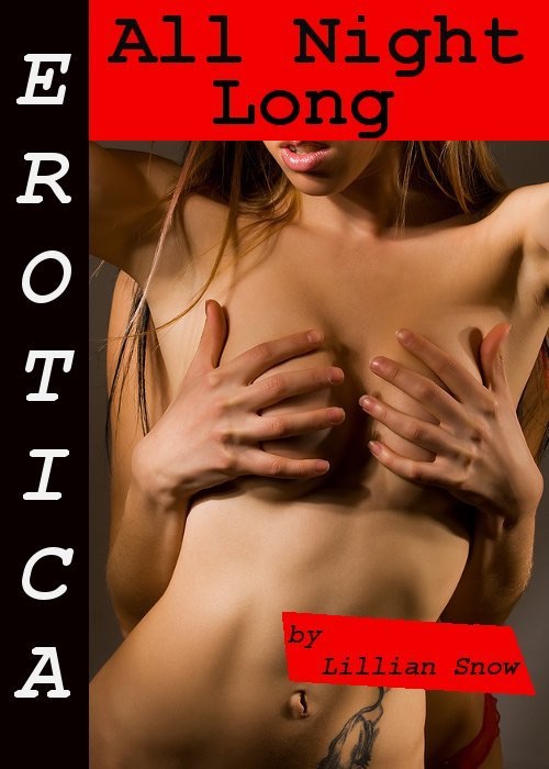 Erotica: All Night Long, Story Taster